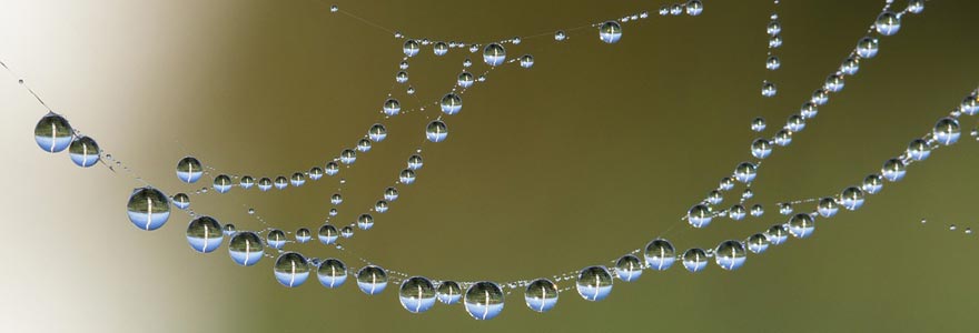 collier en matières naturelles